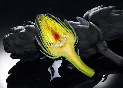  artichoke, black-and-white, black Plexiglas, yellow artichoke, red artichoke,  green artichoke,